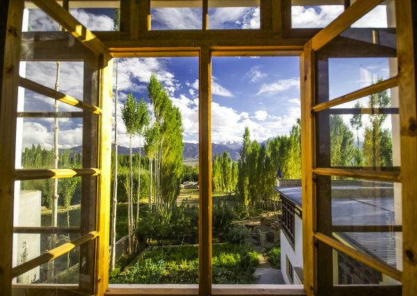 Wood Window Replacement in Walla Walla