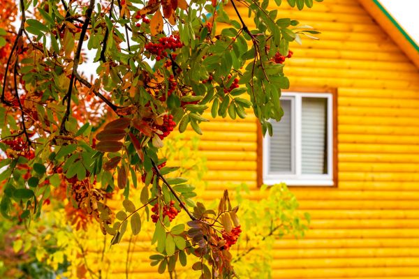 Garden Window Replacement in Walla Walla